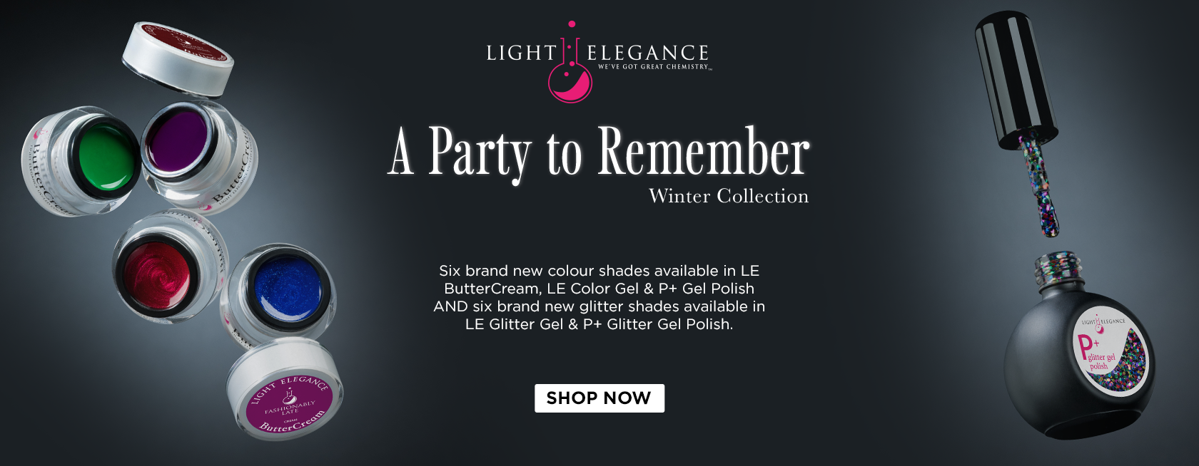 Light Elegance A Party to Remember Winter Collection