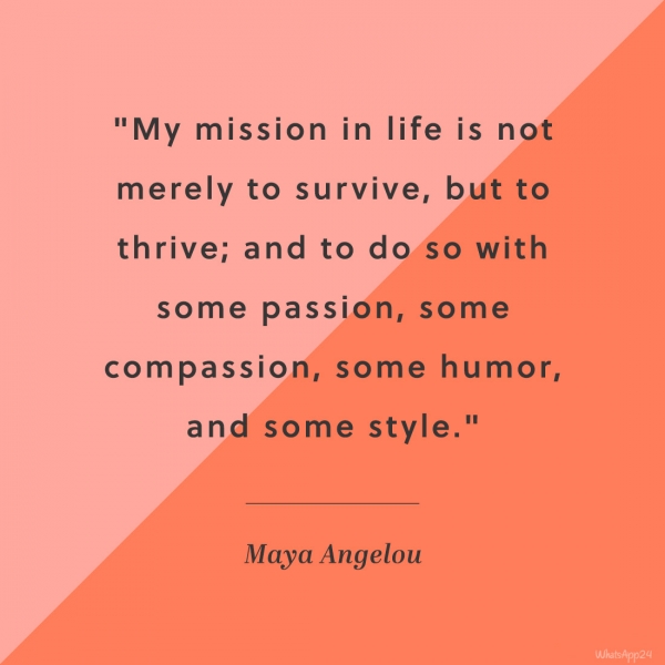 Maya Angelou Quote